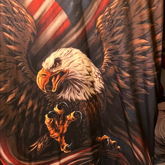 Two Eagle and Flag Graphic Hoodies Bundle - Picture 3 of 12